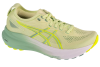 ASICS Gel-Kayano 31 1012B670-300