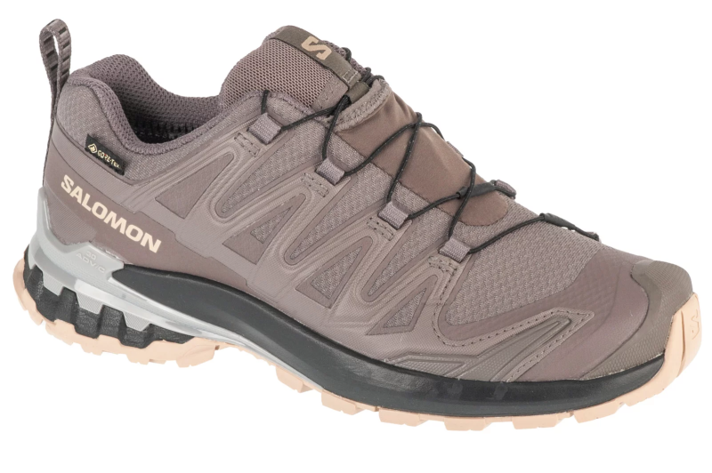 Salomon XA Pro 3D v9 GTX W L47744500 Salomon XA Pro 3D v9 GTX W L47744500