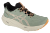 ASICS Gel-Nimbus 26 TR 1011B849-250