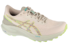 ASICS GT-1000 13 TR 1011C043-300 ASICS GT-1000 13 TR 1011C043-300