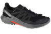 Salomon Hypulse GTX 415959