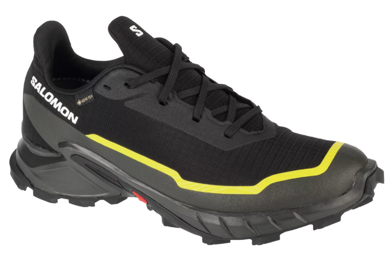 Salomon Alphacross 5 GTX 474604