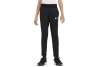 Nike Dri-Fit Therma Training Pants CU9082-010 Nike Dri-Fit Therma Training Pants CU9082-010