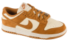 Nike Wmns Dunk Low HJ7673-100 Nike Wmns Dunk Low HJ7673-100