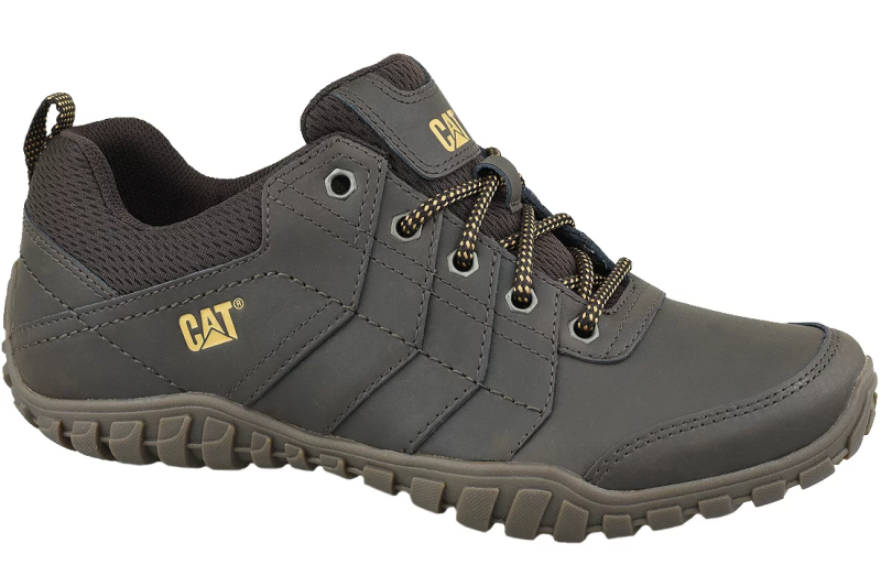 Caterpillar Instruct P722310 Caterpillar Instruct P722310