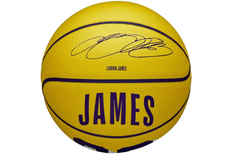 Wilson NBA Player Icon LeBron James Mini Ball WZ4027701XB Wilson NBA Player Icon LeBron James Mini Ball WZ4027701XB