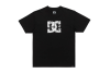 DC Star Skully SS Tee ADYZT05461-KVJ0 DC Star Skully SS Tee ADYZT05461-KVJ0