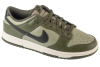Nike Dunk Low Retro HF5441-300 Nike Dunk Low Retro HF5441-300