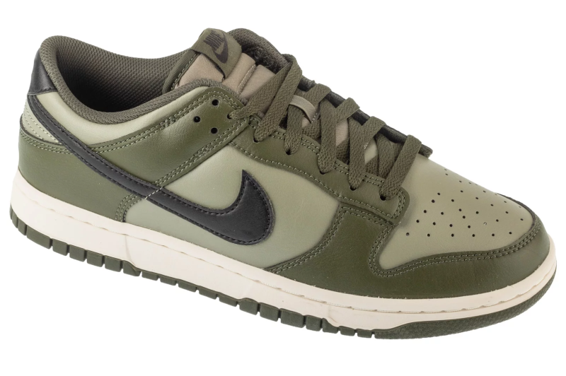 Nike Dunk Low Retro HF5441-300 Nike Dunk Low Retro HF5441-300