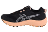 ASICS Gel-Trabuco Terra 2 1012B427-001