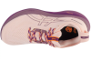 ASICS Gel-Nimbus 26 TR  1012B653-700