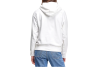 Levi's Graphic Standard Hoodie 184870024 Levi's Graphic Standard Hoodie 184870024