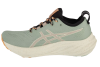 ASICS Gel-Nimbus 26 TR 1011B849-250