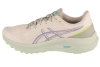 ASICS GT-1000 13 TR 1011C043-300 ASICS GT-1000 13 TR 1011C043-300