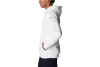 Columbia CSC Basic Logo II Hoodie 1681664106 Columbia CSC Basic Logo II Hoodie 1681664106