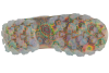 Skechers Jen Stark: Hi-Ryze - Deco Drip 177958-WMLT Skechers Jen Stark: Hi-Ryze - Deco Drip 177958-WMLT