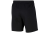 Nike Flecee Park 20 Jr Short CW6932-010