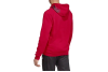 adidas Tan Hooded Sweatshirt DZ9613