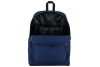JanSport Superbreak Plus Backpack EK0A5BAON54