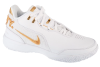 Nike LeBron NXXT Gen AMPD FJ1566-103 Nike LeBron NXXT Gen AMPD FJ1566-103