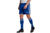 adidas Squadra 21 Shorts GK9153 adidas Squadra 21 Shorts GK9153