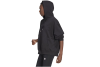adidas Adicolor Oversize Hoodie HC7104 adidas Adicolor Oversize Hoodie HC7104