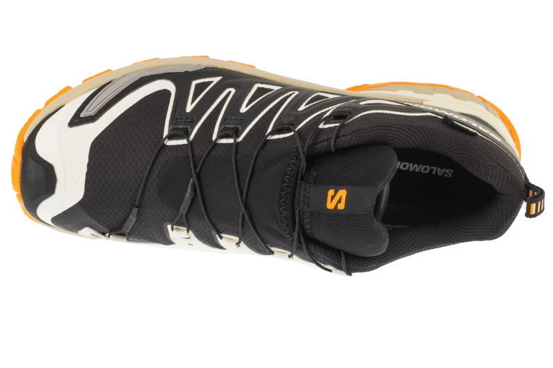 Salomon XA Pro 3D v9 GTX L47881900 Salomon XA Pro 3D v9 GTX L47881900