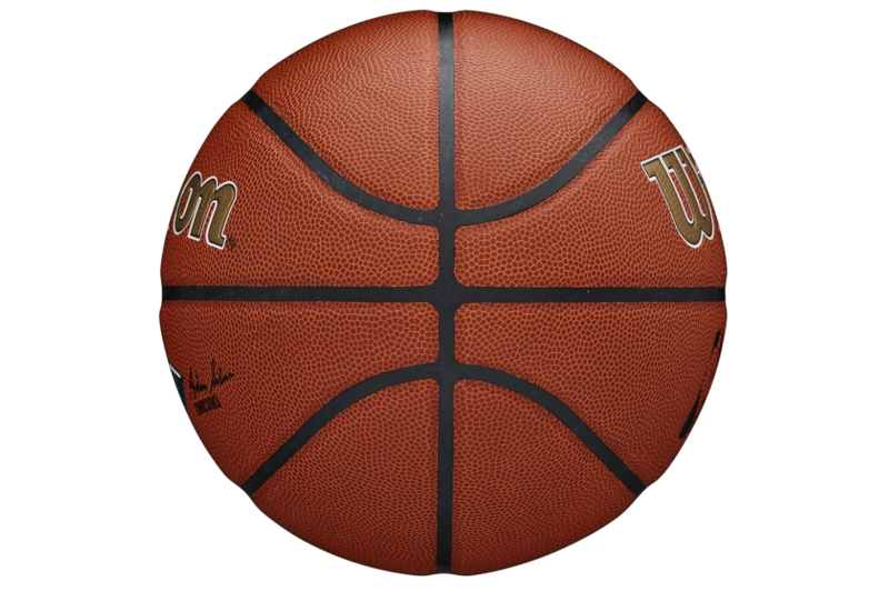 Wilson Team Alliance New Orleans Pelicans Ball WTB3100XBBNO Wilson Team Alliance New Orleans Pelicans Ball WTB3100XBBNO