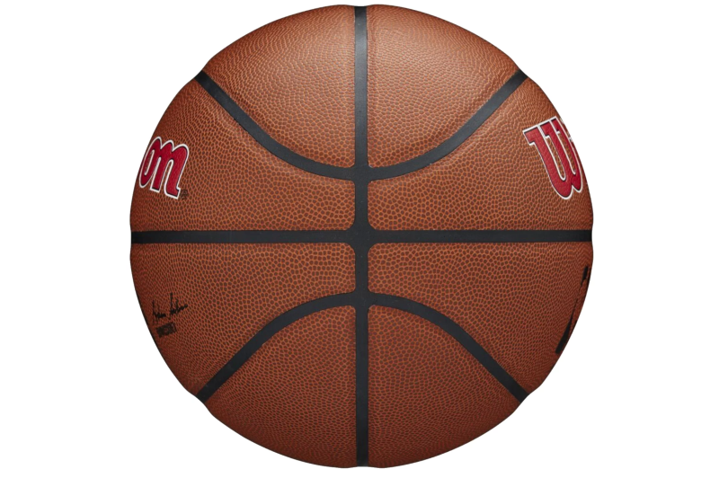 Wilson Team Alliance Toronto Raptors Ball WTB3100XBTOR Wilson Team Alliance Toronto Raptors Ball WTB3100XBTOR