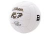 Wilson Cast Away Mini Mr Wilson Volleyball WTH4115XDEF Wilson Cast Away Mini Mr Wilson Volleyball WTH4115XDEF
