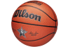 Wilson 2025 NBA All Star Replica Ball WZ2022601XB Wilson 2025 NBA All Star Replica Ball WZ2022601XB