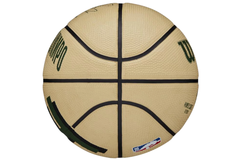 Wilson NBA Player Icon Giannis Antetokounmpo Mini Ball WZ4007501XB Wilson NBA Player Icon Giannis Antetokounmpo Mini Ball WZ4007501XB