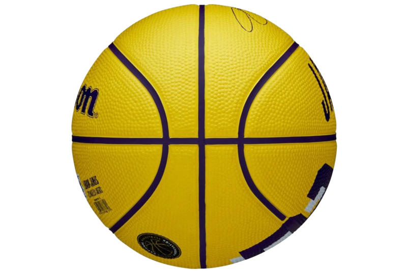 Wilson NBA Player Icon LeBron James Mini Ball WZ4027701XB Wilson NBA Player Icon LeBron James Mini Ball WZ4027701XB