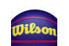 Wilson 2025 NBA All Star Auto Ball WZ4034101XB Wilson 2025 NBA All Star Auto Ball WZ4034101XB