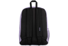 JanSport Flex Pack Backpack EK0A5BBXW301 JanSport Flex Pack Backpack EK0A5BBXW301