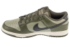 Nike Dunk Low Retro HF5441-300 Nike Dunk Low Retro HF5441-300