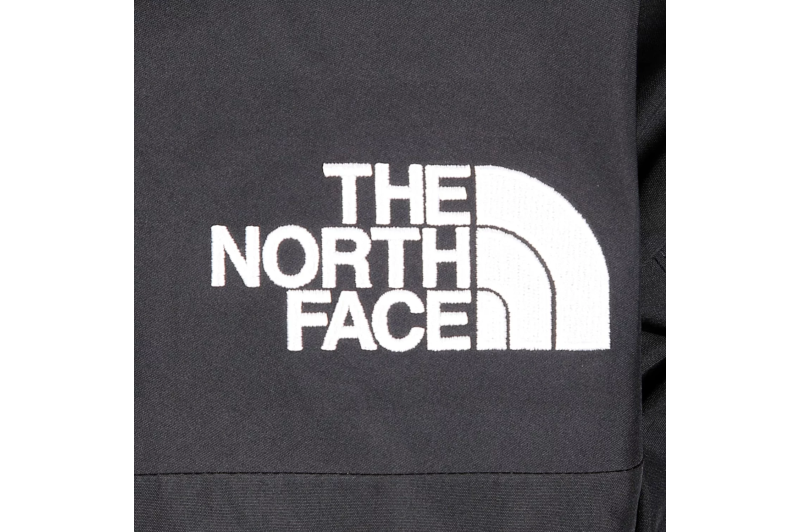 The North Face M GTX Mountain Jacket NF0A831MKX81 The North Face M GTX Mountain Jacket NF0A831MKX81