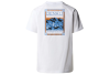 The North Face M SS North Faces Tee NF0A87NUFN41 The North Face M SS North Faces Tee NF0A87NUFN41