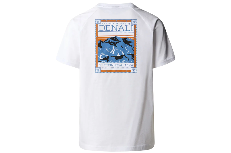 The North Face M SS North Faces Tee NF0A87NUFN41 The North Face M SS North Faces Tee NF0A87NUFN41