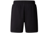 The North Face M Box Nse Regular Shorts NF0A8C1JKY41REG The North Face M Box Nse Regular Shorts NF0A8C1JKY41REG